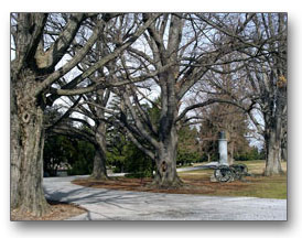 The Cemetary